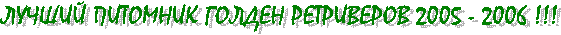 ЛУЧШИЙ ПИТОМНИК ГОЛДЕН РЕТРИВЕРОВ 2005