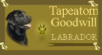 сайт лабрадора Tapeatom Goodwill вл: портяная елена