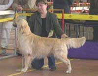 фото с сайта РИП Ретривер