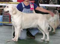 фото Волченковой Ирины