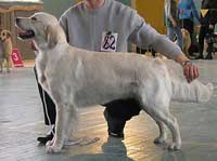 фото Волченковой Ирины