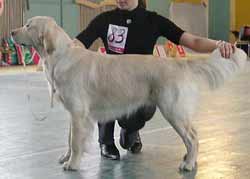 фото Волченковой Ирины